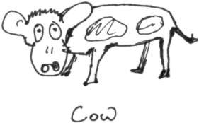 Cow